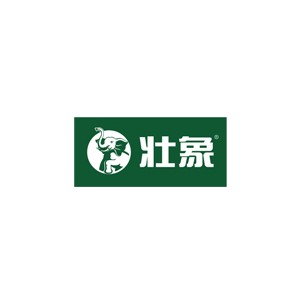 壮象