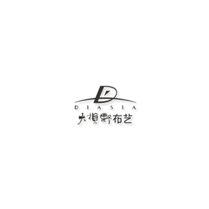 大视野DIASIA