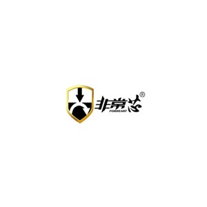 非常芯