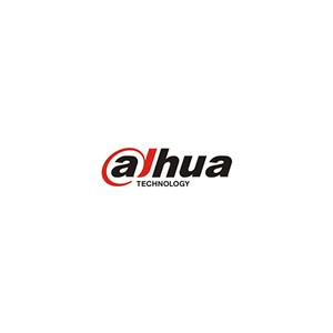 大华DAHUA