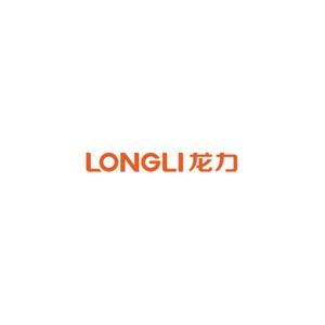 龙力LONGLI