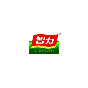 智力