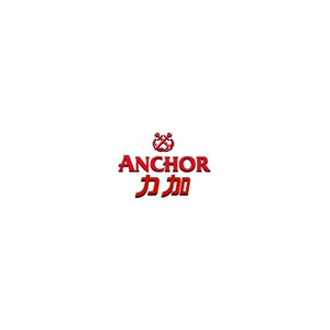 Anchor力加