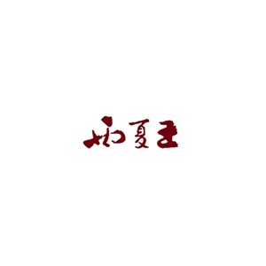 西夏王