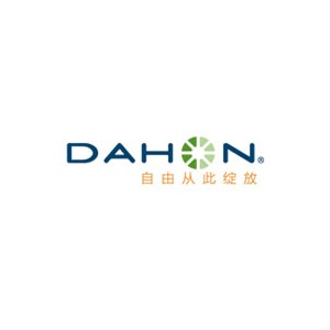 DAHON大行