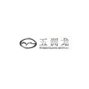 五洲龙