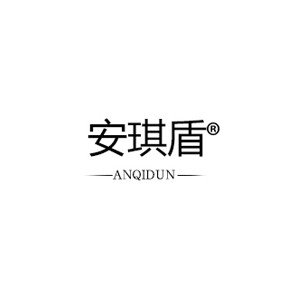 安琪盾