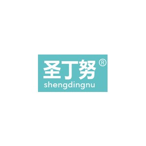 圣丁努