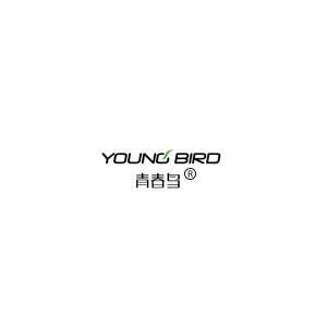 youngbird青春鸟