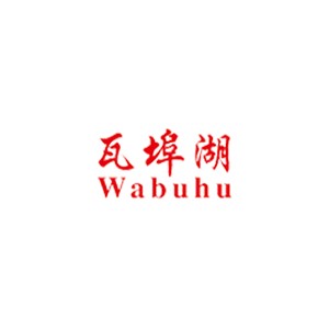 瓦埠湖