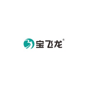 BAOFEILONG宝飞龙