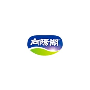 向阳湖