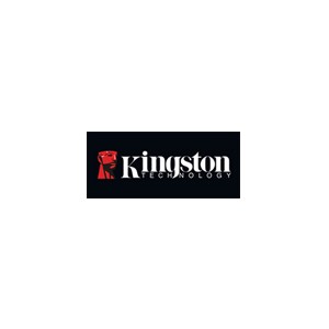 Kingston金士顿