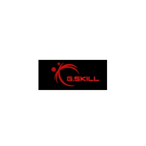 G.SKILL芝奇