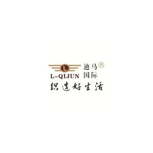 迪马国际