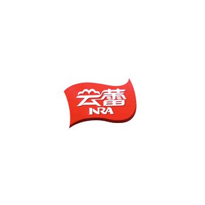 云蕾