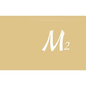 第二记忆/M2