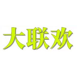 大联欢数码