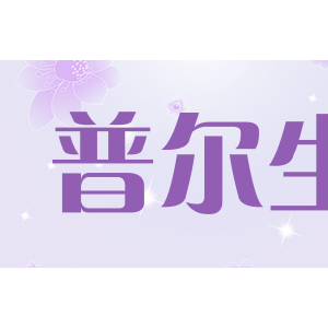 processor普尔生