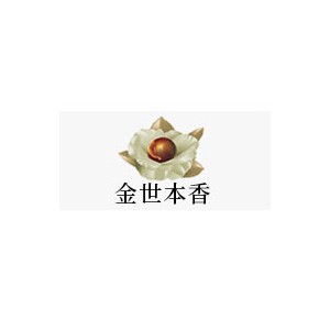 金世本香