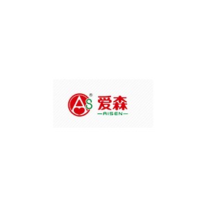SAIC爱森