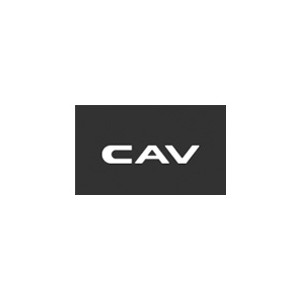 CAV丽声