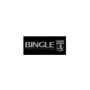 Bingle宾果