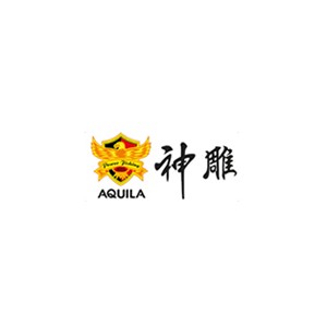 AQUILA神雕