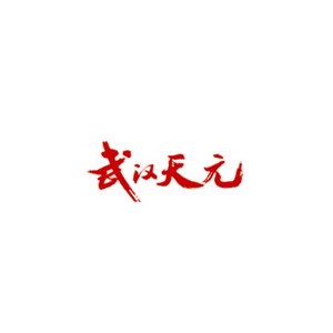天元