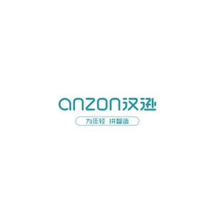 ANZON汉逊