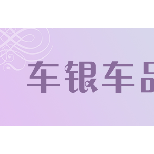 车银车品