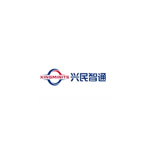 CEMAX兴民智通