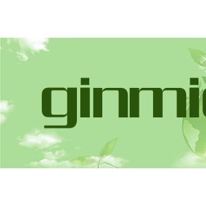 ginmic