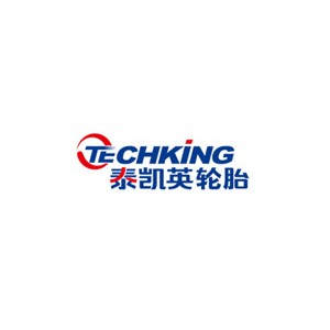 Techking泰凯英