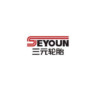 SEYOUN三元