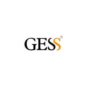 GESS