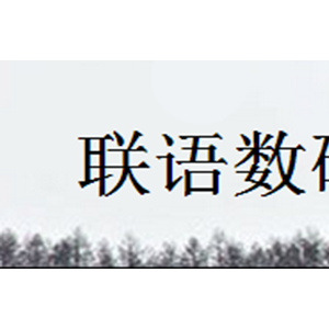 联语数码