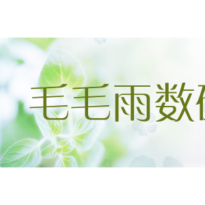 毛毛雨数码