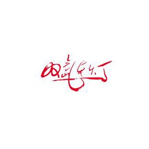 双氙车灯