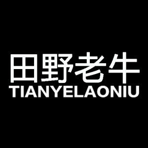 田野老牛