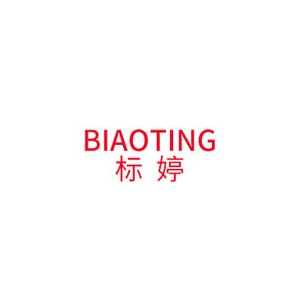 BIAOTING标婷