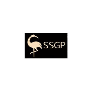 SSGP叁肆钢