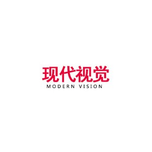现代视觉