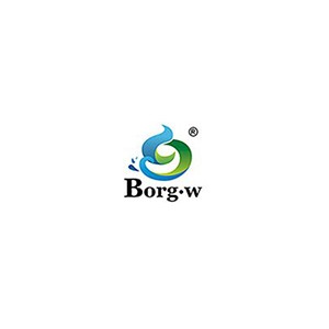 Borg·w博格王