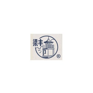 梁丰
