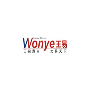 Wonye王易