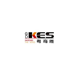 KES粤奇胜