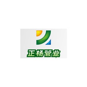 正杨
