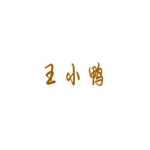 王小鸭