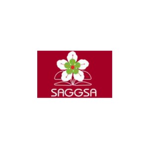 saggsa天姿国色